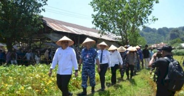 Wabup Maros Muetazim Hadiri Panen Kedelai di Bantimurung, Dorong Ketahanan Pangan Daerah