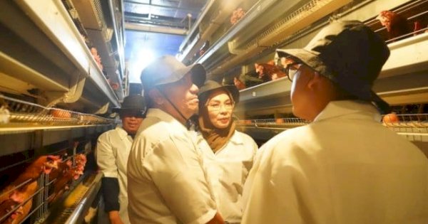 Peternakan Ayam Terbesar di Blitar Jadi Tempat Belajar Rombongan Pandu Juara Lutim
