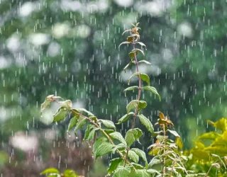 Cuaca Sulsel Kamis 30 Oktober, Hujan Ringan di Sejumlah Wilayah Sulsel