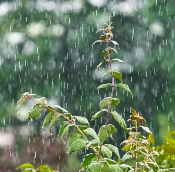 Cuaca Sulsel Kamis 30 Oktober, Hujan Ringan di Sejumlah Wilayah Sulsel