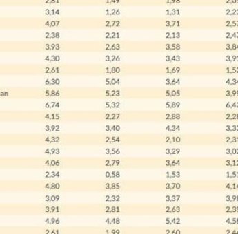 Pengangguran di Parepare Turun Jadi 4,98 Persen