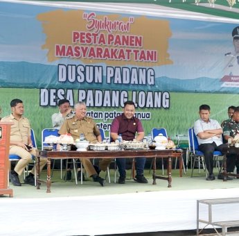 Bupati Irwan Syukuri Panen Melimpah di Padangloang, Tekankan Inovasi Pertanian Berkelanjutan