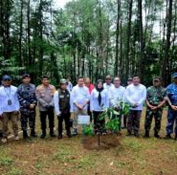 Pimpin Penanaman Pohon Serentak, Fatmawati Ajak Perkuat Kolaborasi Hijaukan Sulsel