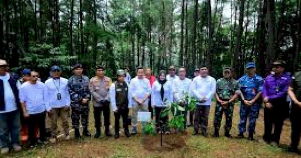 Pimpin Penanaman Pohon Serentak, Fatmawati Ajak Perkuat Kolaborasi Hijaukan Sulsel