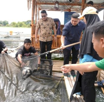 Panen Perdana di Maccini Sombala, Wali Kota Makassar Harap Budidaya Berkelanjutan di Makassar
