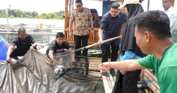 Panen Perdana di Maccini Sombala, Wali Kota Makassar Harap Budidaya Berkelanjutan di Makassar