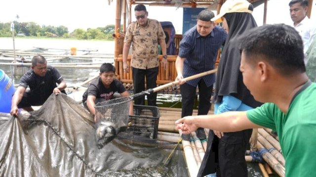Panen Perdana di Maccini Sombala, Wali Kota Makassar Harap Budidaya Berkelanjutan di Makassar