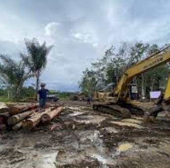 Diduga Marak Pencucian Kayu, Gakkum Kehutanan Amankan Ekskavator dan Kayu Bulat di Tapanuli Selatan