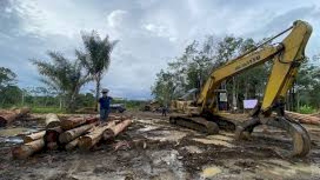 Diduga Marak Pencucian Kayu, Gakkum Kehutanan Amankan Ekskavator dan Kayu Bulat di Tapanuli Selatan