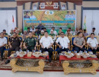 Panen Raya Nasional Digelar, Pangkep Fokus Tingkatkan Produktivitas Petani
