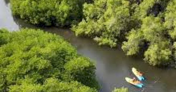 Kemenhut: Wisata Alam di Taman Nasional Bali Barat Sesuai Aturan Berbasis Zonasi