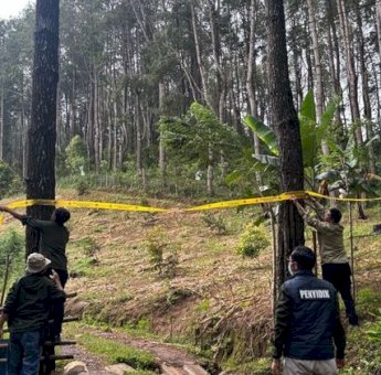Ubah 1,3 Hektare Hutan Jadi Peternakan Ayam, Pengusaha di Bone Terancam 10 Tahun Penjara